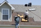 Walhallaskylights-2.jpg; ?>